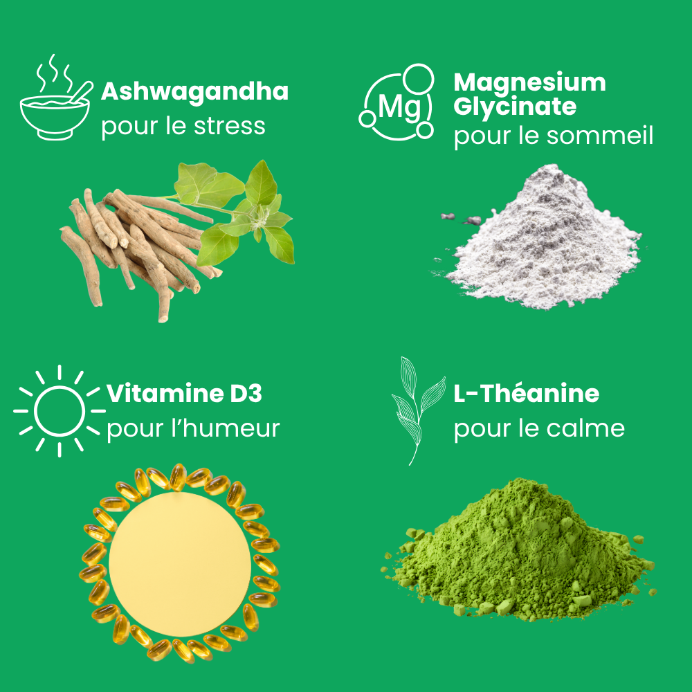 Serenizen - Equilibre & bien être